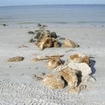 article image - 